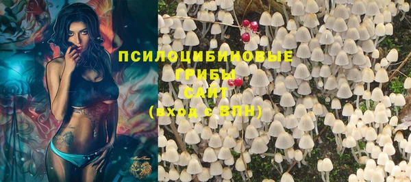 гашик Аркадак