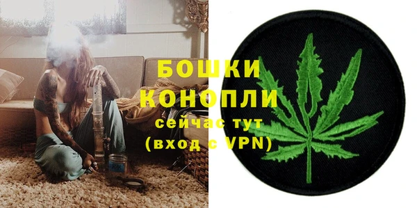 гашик Аркадак