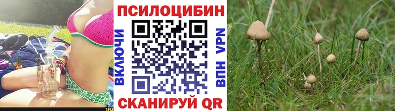 цена наркотик  Бугульма  Псилоцибиновые грибы мухоморы 