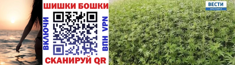 MEGA как зайти  как найти закладки  Бугульма  Конопля индика 